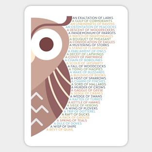 Bird Group Terminology - Owl Edition Sticker